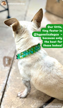 Load image into Gallery viewer, Breezy Mermaid Crackle Duplo XS Acrylic Bead Collar