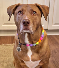 Load image into Gallery viewer, Electric Rainbow Bead Collar
