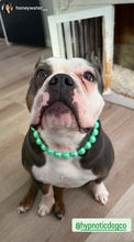 Load image into Gallery viewer, Minty Sage Acrylic Bead Collar - SALE