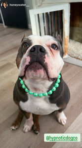 Minty Sage Acrylic Bead Collar - SALE