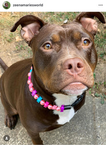 🍬 Cotton Candy Crush Bead Collar - SALE