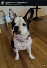 Load image into Gallery viewer, Winter Plum Bead Collar