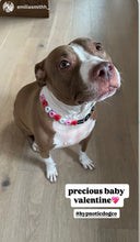 Load image into Gallery viewer, Electric Valentine Hearts Bead Collar