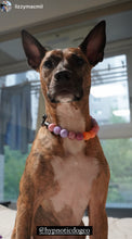 Load image into Gallery viewer, Citrus Berry Glam Bead Collar