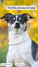 Load image into Gallery viewer, XS White Pearl Single Strand Bead Collar