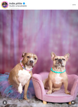 Load image into Gallery viewer, Neon Turquoise Acrylic Bead Collar
