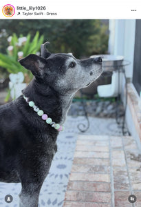 Blush & Glow Skull ☠️ Acrylic Bead Collar