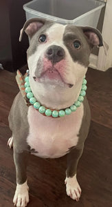 Minty Sage Acrylic Bead Collar - SALE