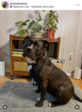 Load image into Gallery viewer, Scream Street Halloween Bead Collar