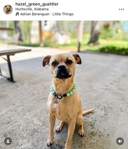 Minty Sage Acrylic Bead Collar - SALE