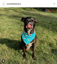 Load image into Gallery viewer, Rocket Pop Glam Bead Collar