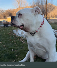 Load image into Gallery viewer, Peppermint Swirl Bead Collar