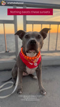 Load image into Gallery viewer, Neon Hot Orange Acrylic Bead Collar