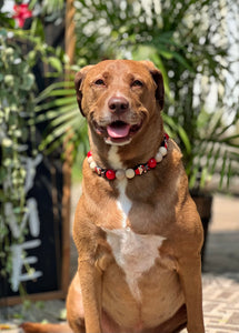 Elm Street Halloween Bead Collar