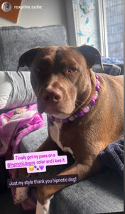 Purple Haze Bead Collar