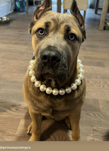 Load image into Gallery viewer, Chunky White Pearls Acrylic Bead Collar