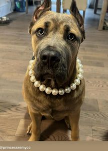 Chunky White Pearls Acrylic Bead Collar