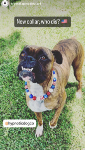 Americana Glam Bead Collar