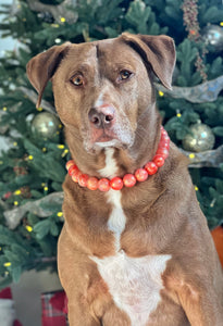 Orange Jupiter Bead Collar