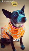 Load image into Gallery viewer, Sweet Tart Acrylic Bead Collar