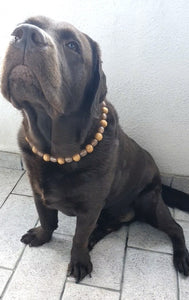 Woodland Bead Collar