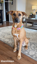 Load image into Gallery viewer, PERSONALIZED Candy Sweetheart Bead Collar