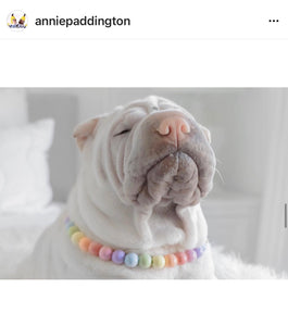 Pastel Rainbow Acrylic Bead Collar