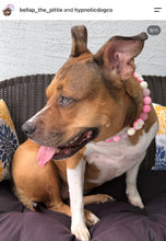 Load image into Gallery viewer, Pink Luau 🌺 Bead Collar