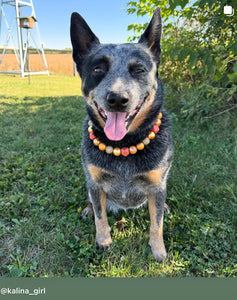 Autumn Leaves 🍂 Bead Collar