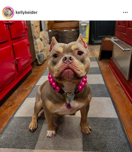 Chunky Magenta Pearls Acrylic Bead Collar