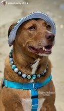 Load image into Gallery viewer, Thunder Bay Acrylic Bead Collar
