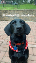 Load image into Gallery viewer, Strawberry Resin Bead Collar