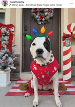 Load image into Gallery viewer, Deck the Halls Bead Collar