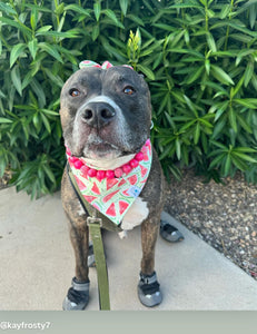 Magenta Glitz Bead Collar