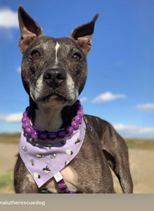 Grape Resin Bead Collar