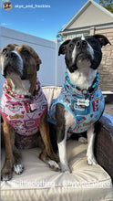 Load image into Gallery viewer, Pink Stars Bead Collar