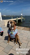 Load image into Gallery viewer, Orange Jupiter Bead Collar