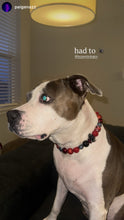 Load image into Gallery viewer, Crimson Web 🕸️ Bead Collar