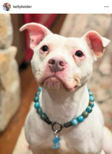 Load image into Gallery viewer, Deep Sea Swirl Acrylic Bead Collar