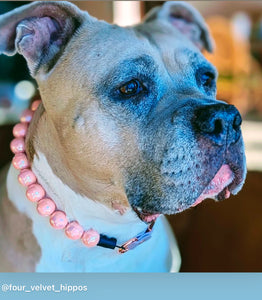 Peach Rain Acrylic Bead Collar