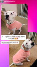 Load image into Gallery viewer, Sweet Pea Bead Collar
