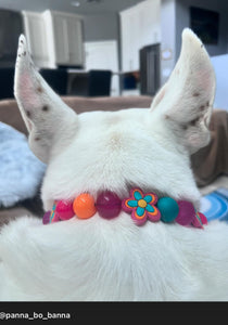 Retro Groovy 🌼 Bead Collar