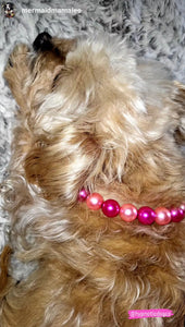 Mini Frozen Berry Pearl [Small Dog/Cat Bead Collar]