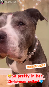Icicle Bead Collar
