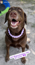 Load image into Gallery viewer, Lavender Rain Triplo Acrylic Bead Collar