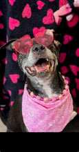 Load image into Gallery viewer, Pink Disco Bead Collar