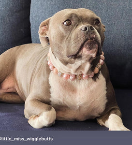 Rose Gold Champagne Bead Collar