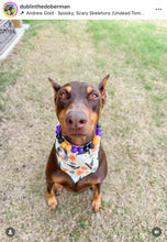 Load image into Gallery viewer, Witching Hour Halloween Bead Collar