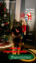 Load image into Gallery viewer, Santa Claus Bead Collar