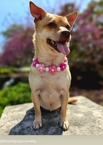 🌼 Pink Ombre Daisies 🌼 Silicone Bead Collar